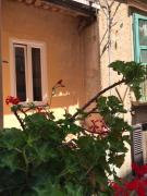 Top Tropea Top Tropea