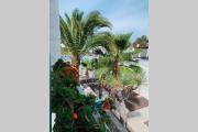 Beach and Relax Apartment Las Americas