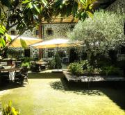 Top Gordexola Top Gordexola