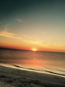 Top Debina Top Debina