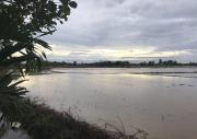 Top Arau