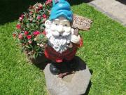 Madeira Holiday Flats