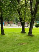 Top Wisła Top Wisła