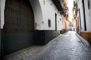 Alohamundi Catedral