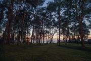 Top Władysławowo