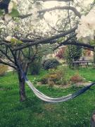 Top Duszniki-Zdrój Top Duszniki-Zdrój