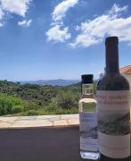 Top Alonnisos Old Town