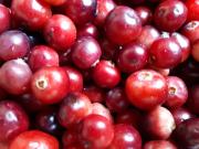 Hunting House Ezerkrasti Hunting House Ezerkrasti