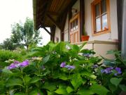 Top Moravské Lieskové Top Moravské Lieskové