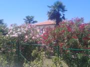 Apartments Elda