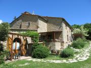 Top Montecastelli Pisano