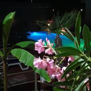 апартамент CACAO RESIDENCE