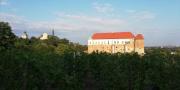 Top Sandomierz