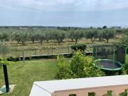 Top Umag
