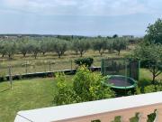 Top Umag
