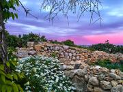 Top Xagħra