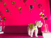 Top Playa del Carmen Top Playa del Carmen