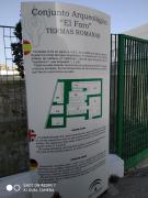 Top Torrox
