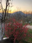 Top Priboj
