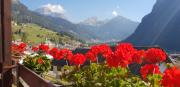 Appartamento panoramico Campitello di Fassa