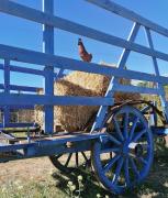 Top Robion en Luberon