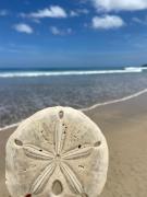 Top Playa Grande