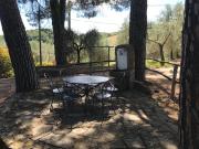 Top Figline Valdarno