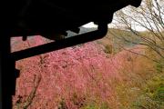 Top Hakone