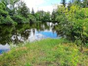 Top Andelaroche