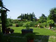 Top Fauglia