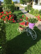 Top Lefkandi Chalkidas Top Lefkandi Chalkidas