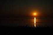 Top Mamaia