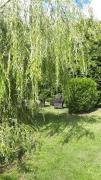 Top Castle Hedingham