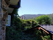 Top Ferreira de Panton