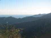 Top Magliolo