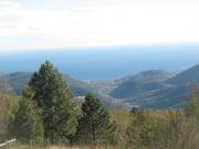 Top Magliolo