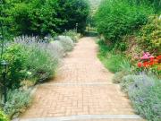 Top Casanova Lerrore Top Casanova Lerrore