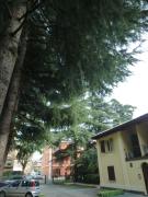 IL GIARDINETTO - Smart working - Airport - Private Parking - Private garden - Ducati - Philip Morris