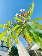 Top Alhaurín el Grande