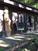 Waldnest Odenwald - Waldhauszimmer