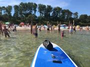 Top Sarbinowo Top Sarbinowo