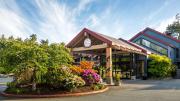 Top Tofino