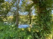 Top Burkesville