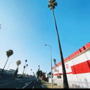 Top Los Angeles
