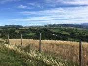 Top Ozzano dell Emilia