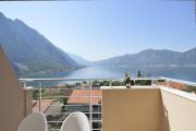 Top Kotor