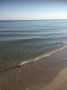 Top Karwia Top Karwia