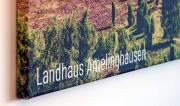 Top Amelinghausen