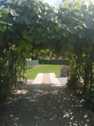 Top Velence Top Velence