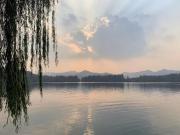 Top Zibo